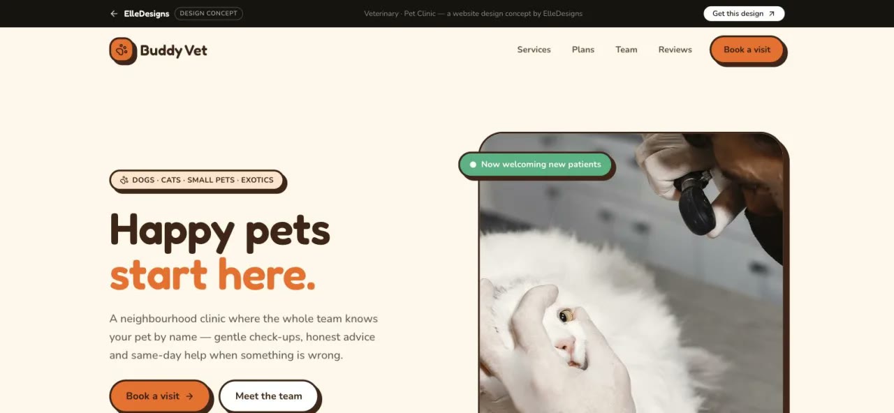 Playful & Bright demo site